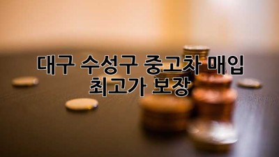 대구 수성구 중고차 매입, 최고가 보장!