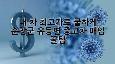 내 차 최고가로 쿨하게 👋 순창군 유등면 중고차 매입 꿀팁 🚗